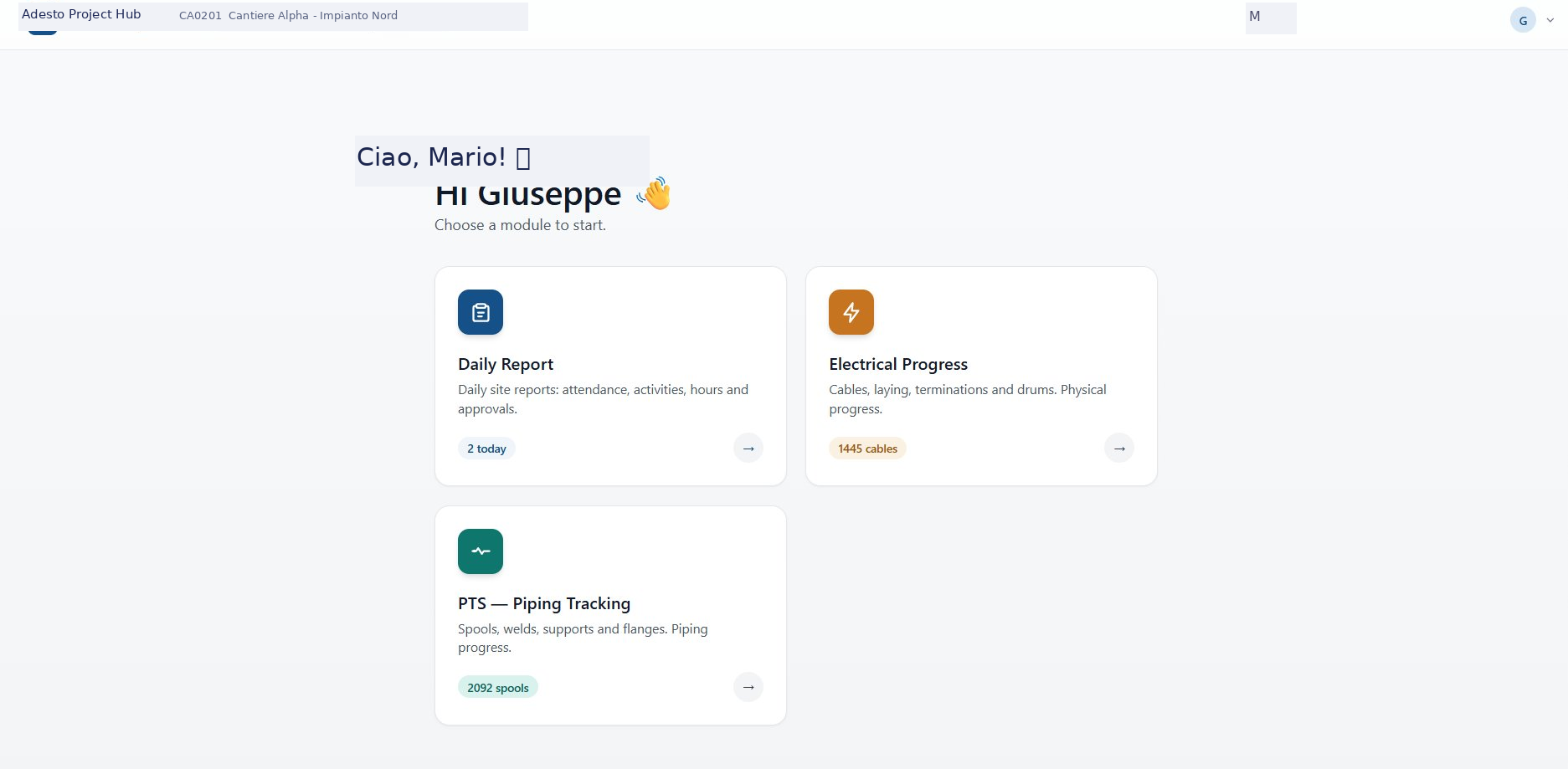 Daily Report System